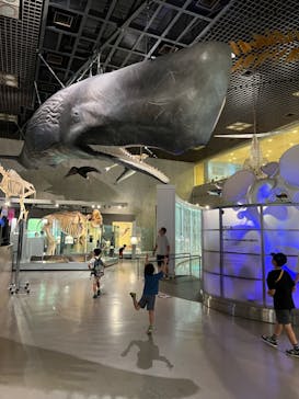 特別展「昆虫 MANIAC」（国立科学博物館）に投稿された画像（2024/8/20）