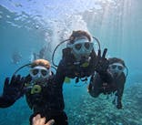 沖縄マリンサービス碧に投稿された画像（2024/8/20）