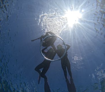 沖縄マリンサービス碧に投稿された画像（2024/8/20）