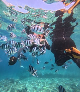 沖縄マリンサービス碧に投稿された画像（2024/8/20）