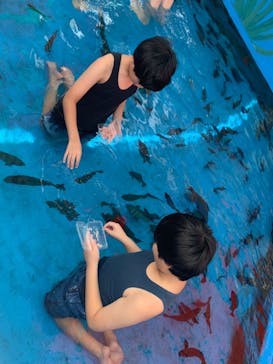 越前松島水族館に投稿された画像（2024/8/20）