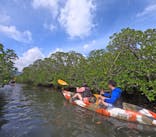 西表島 ADVENTURE PiPi（アドベンチャーピピ）に投稿された画像（2024/8/20）