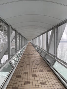 徳島県立 渦の道に投稿された画像（2024/8/20）