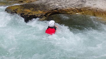 フィールドアースに投稿された画像（2024/8/20）