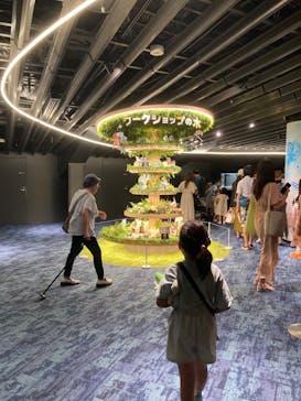 京都水族館に投稿された画像（2024/8/19）