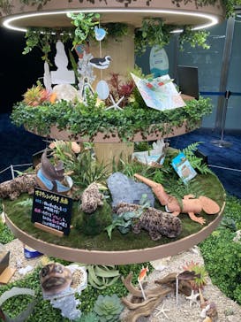 京都水族館に投稿された画像（2024/8/19）