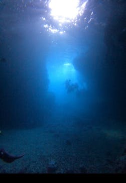 武藤潜水に投稿された画像（2024/8/20）