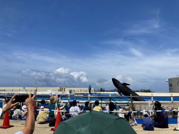 沖縄美ら海水族館に投稿された画像（2024/8/20）
