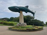 沖縄美ら海水族館に投稿された画像（2024/8/20）