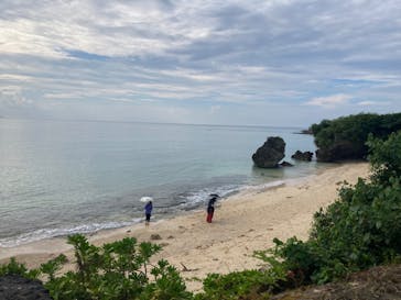 沖縄美ら海水族館に投稿された画像（2024/8/20）