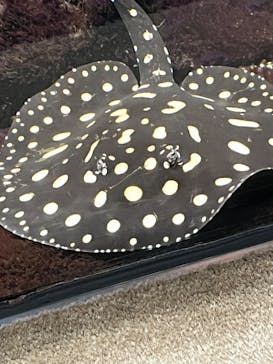 サンシャイン水族館に投稿された画像（2024/8/20）