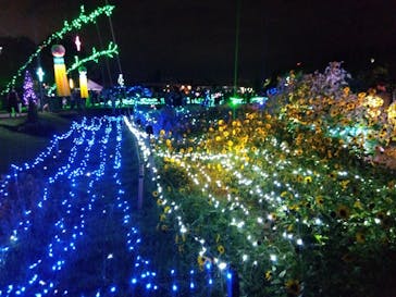 せんだい農業園芸センター　みどりの杜に投稿された画像（2024/8/20）