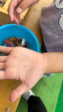 Discovery Worldに投稿された画像（2024/8/20）