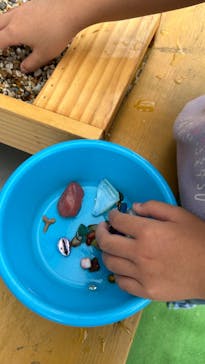 Discovery Worldに投稿された画像（2024/8/20）