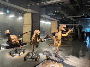 福井県立恐竜博物館に投稿された画像（2024/8/20）