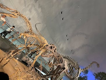 福井県立恐竜博物館に投稿された画像（2024/8/20）