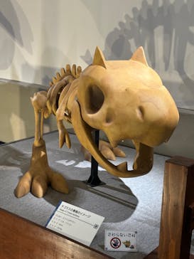 岐阜県博物館に投稿された画像（2024/8/20）