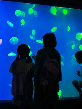 大分マリーンパレス水族館 「うみたまご」に投稿された画像（2024/8/20）