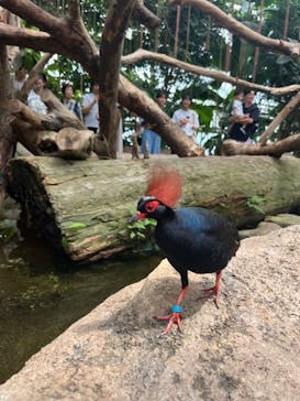 神戸どうぶつ王国に投稿された画像（2024/8/20）