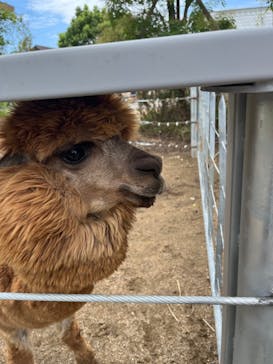 神戸どうぶつ王国に投稿された画像（2024/8/20）