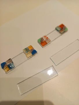 田畑硝子工房に投稿された画像（2024/8/20）