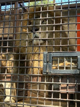 宇都宮動物園に投稿された画像（2024/8/20）