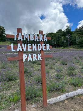 たんばらラベンダーパークに投稿された画像（2024/8/20）