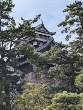 松江城に投稿された画像（2024/8/20）