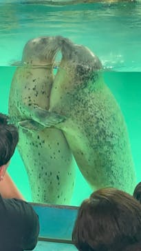 下田海中水族館に投稿された画像（2024/8/20）