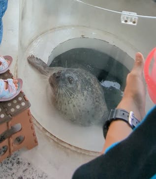 しながわ水族館に投稿された画像（2024/8/20）
