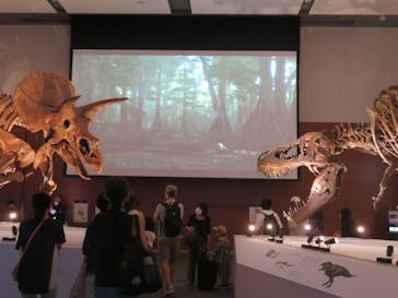 DinoScience 恐竜科学博 ～ララミディア大陸の恐竜物語～ 2024@OSAKAに投稿された画像（2024/8/20）