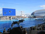 名古屋港水族館に投稿された画像（2024/8/20）