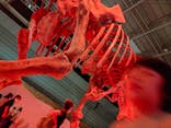 巨大恐竜展2024に投稿された画像（2024/8/20）