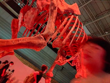 巨大恐竜展2024に投稿された画像（2024/8/20）