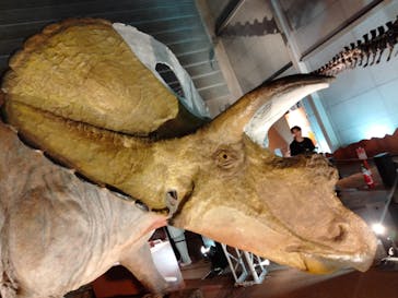 巨大恐竜展2024に投稿された画像（2024/8/20）