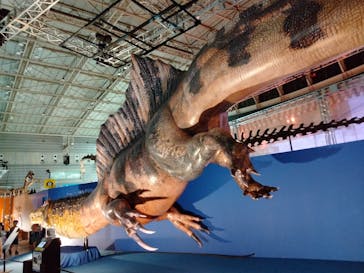 巨大恐竜展2024に投稿された画像（2024/8/20）