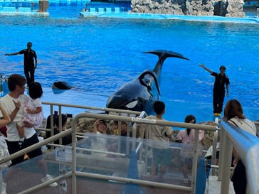 名古屋港水族館に投稿された画像（2024/8/20）