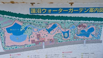 蓮沼ウォーターガーデンに投稿された画像（2024/8/20）