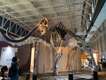 巨大恐竜展2024に投稿された画像（2024/8/20）