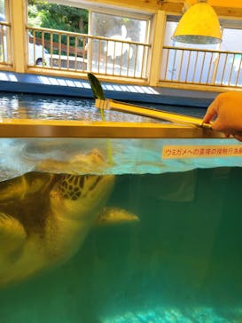 越前松島水族館に投稿された画像（2024/8/20）
