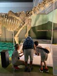 巨大恐竜展2024に投稿された画像（2024/8/20）
