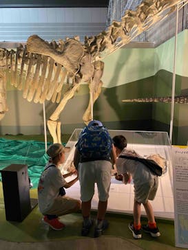 巨大恐竜展2024に投稿された画像（2024/8/20）