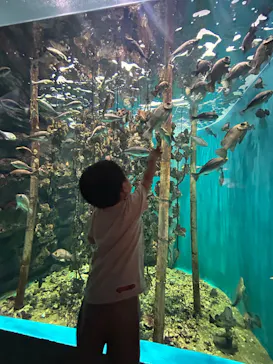 仙台うみの杜水族館に投稿された画像（2024/8/20）