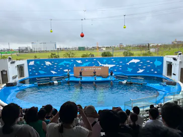 仙台うみの杜水族館に投稿された画像（2024/8/20）