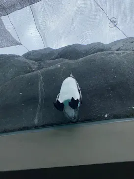 天王寺動物園に投稿された画像（2024/8/20）