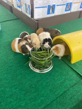 天王寺動物園に投稿された画像（2024/8/20）