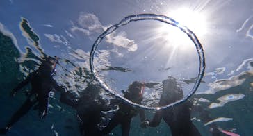 沖縄マリンサービス碧に投稿された画像（2024/8/20）