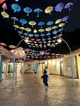 ムーミンバレーパークに投稿された画像（2024/8/20）