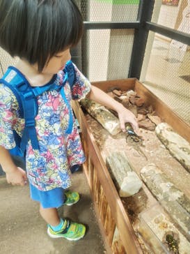 JOYPOLIS 特別イベントスペースに投稿された画像（2024/8/20）