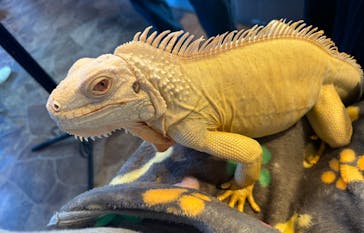 アニマルカフェフレカ　福島店に投稿された画像（2024/8/20）